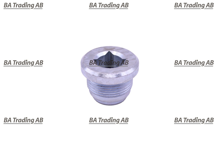 MAGNETIC PLUG